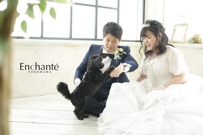 大人気わんちゃんと一緒のフォトウェディング
