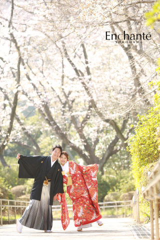 桜ロケと野球撮影！