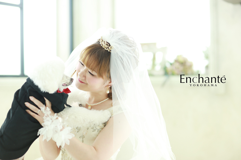 わんちゃんも大切な家族。