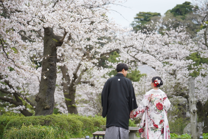 三溪園〜桜〜