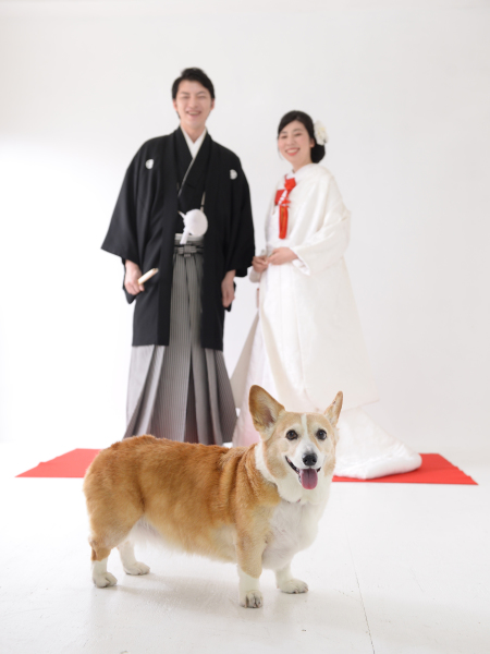 お次は和装にお色直し!