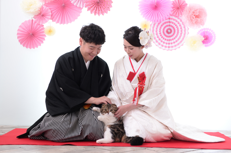 絶妙なおすわりさん