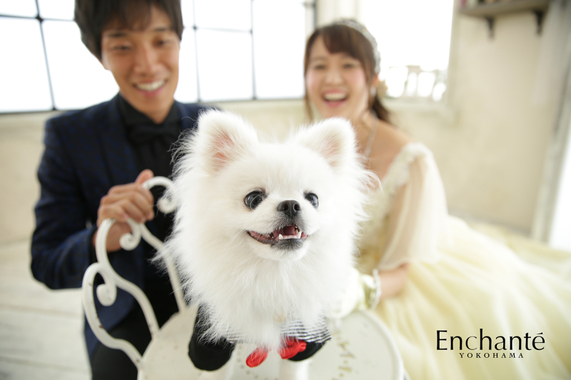 ７ヶ月のわんちゃん