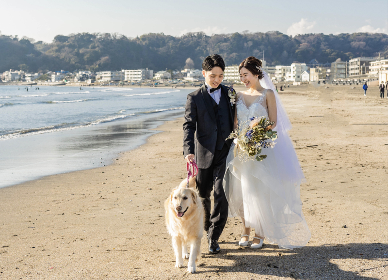 アンシャンテ横浜ではペットちゃんの同行もOKです!