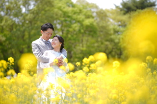 アンシャンテ横浜_【ネモフィラでロケーション撮影】