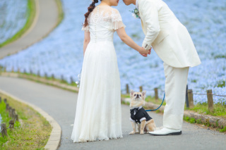 アンシャンテ横浜_【ネモフィラでロケーション撮影】