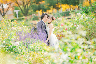 柔らかい雰囲気で