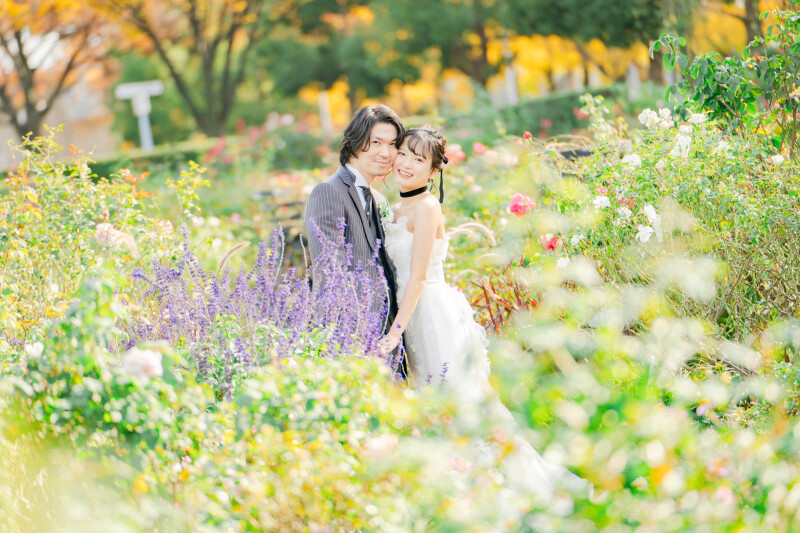 柔らかい雰囲気で