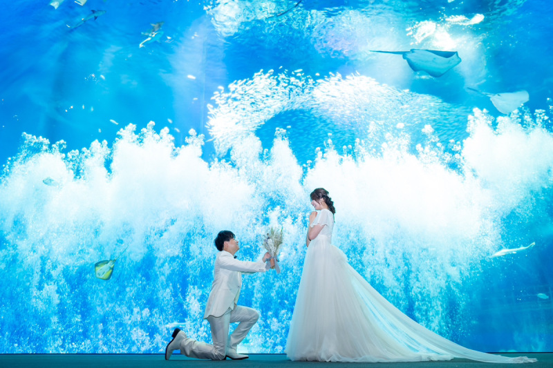 【水族館ロケーション】★今なら友人・家族6名様招待無料★通常価格232,000円→121,000円(税込)ブランド衣装・データ込