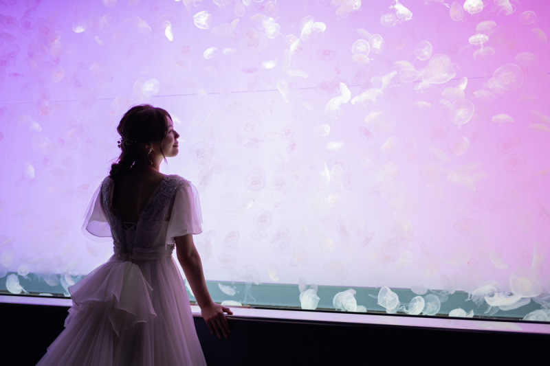 【水族館ロケーション】★今なら友人・家族6名様招待無料★通常価格232,000円→121,000円(税込)ブランド衣装・データ込