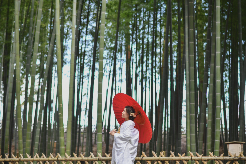 ★ 2026年新登場プラン★【ネモフィラ&日本三名園 偕楽園撮影】\限定20組様/ロケ&ロケプラン★特別価格★226,875円