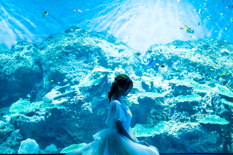 【水族館ロケーション】★今なら友人・家族6名様招待無料★通常価格232,000円→121,000円(税込)ブランド衣装・データ込