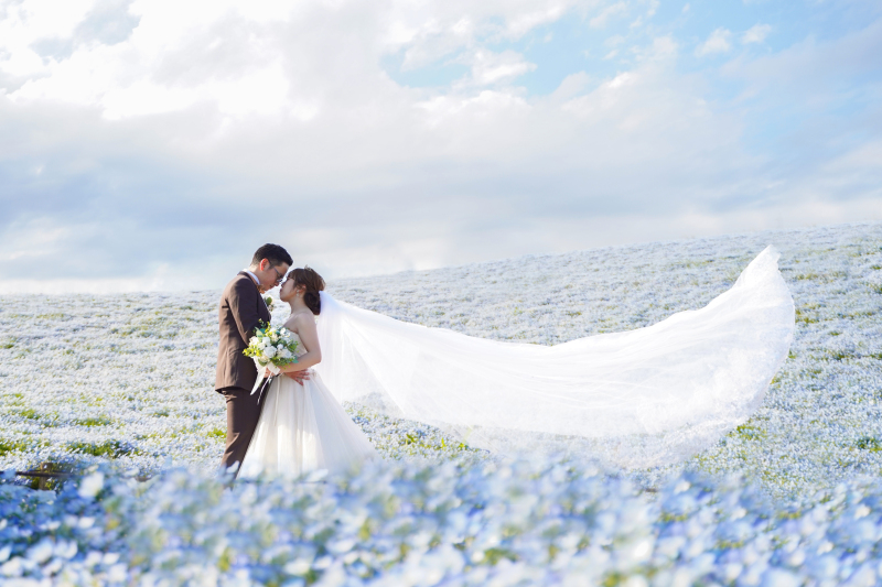 ★先行早割★【2026年ネモフィラロケーション】ネモフィラシンプルプラン通常価格144,375円→★特別価格★111,375円