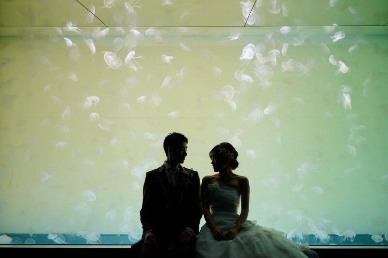 【大洗水族館で撮影!】フォトウェディング〜ユニークベニュープラン!