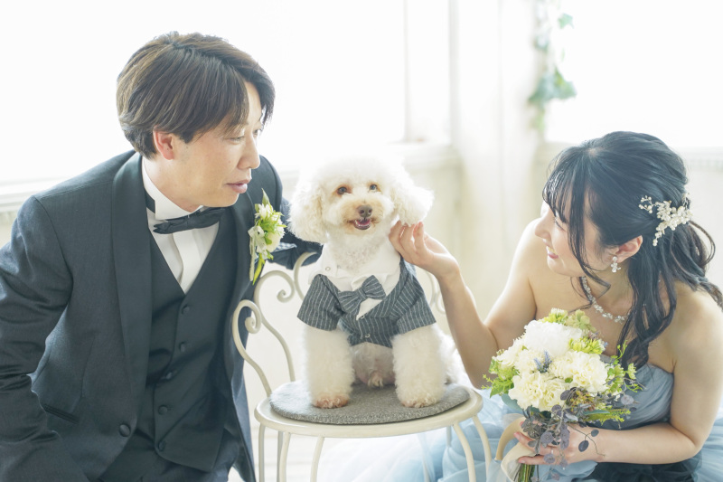 洋装+和装スタジオ2着撮影★シンプルプラン:定価106,700円から今だけ半額!