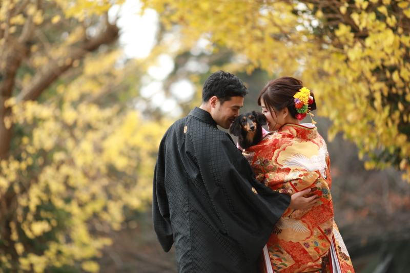 《9月・10月の撮影》【称名寺ロケーション撮影】60分撮り放題★新婦2着目衣装代プレゼント★衣装追加料金ナシ