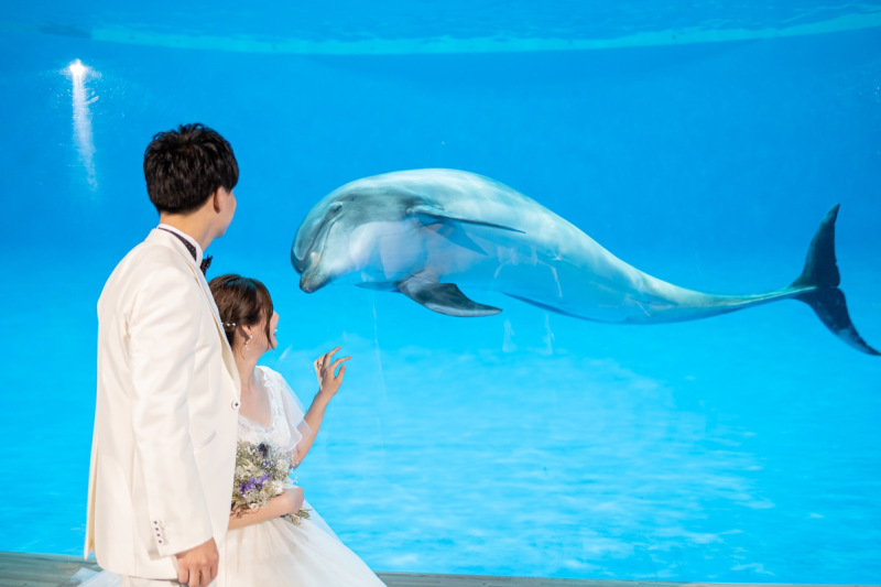 【水族館ロケーション】★今なら友人・家族6名様招待無料★通常価格232,000円→121,000円(税込)ブランド衣装・データ込