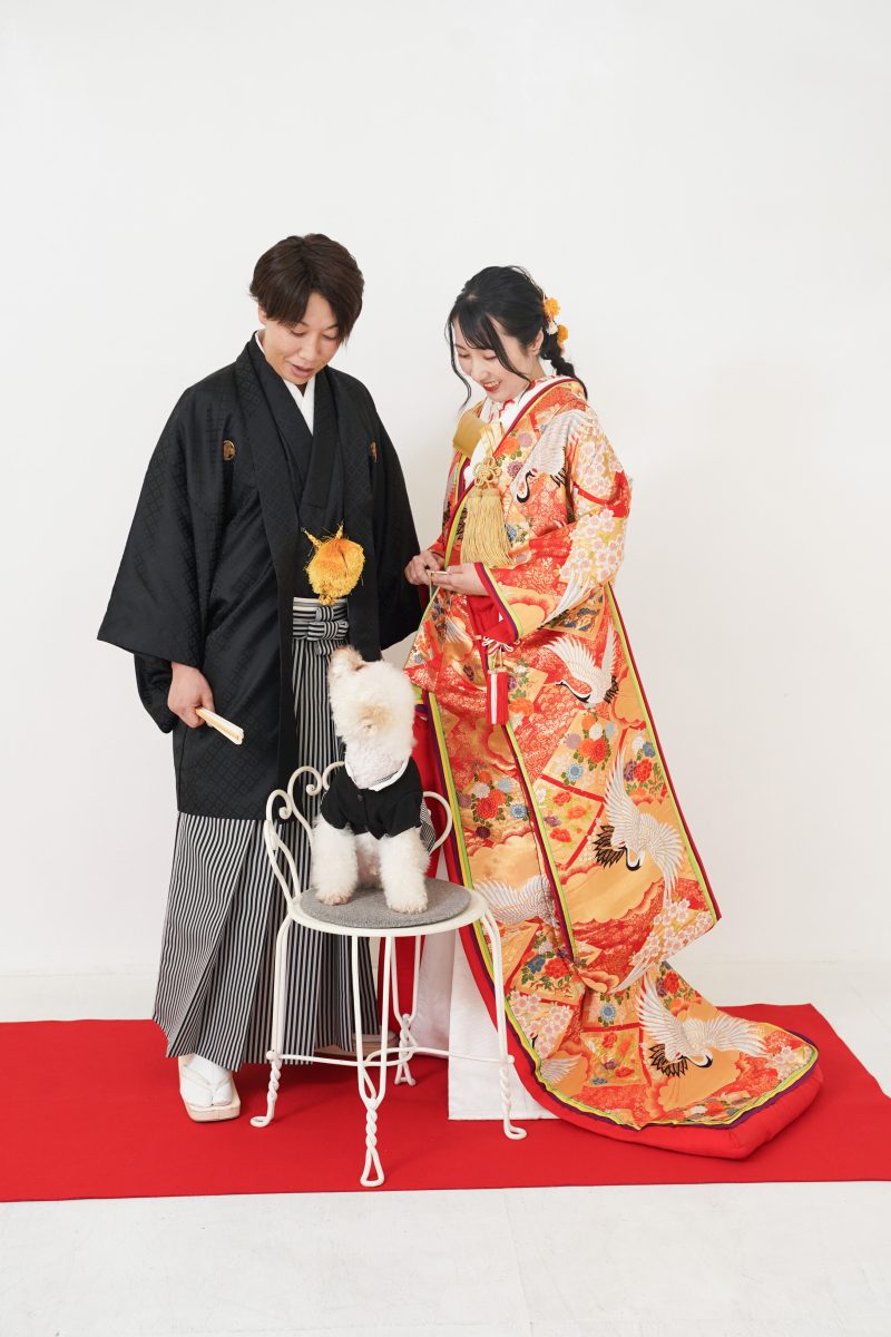 【フォトレイト限定】洋装or和装★スタジオ1着撮影~基本料金50%OFF~★衣装・データ100カット付きパッケージプラン