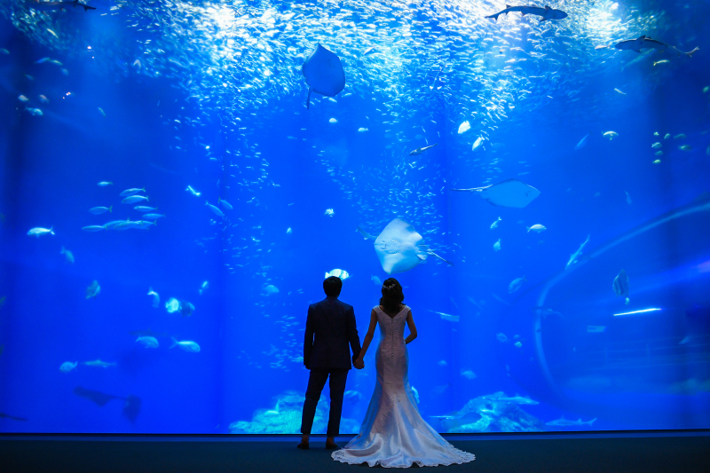 【大洗水族館で撮影!】フォトウェディング〜ユニークベニュープラン!