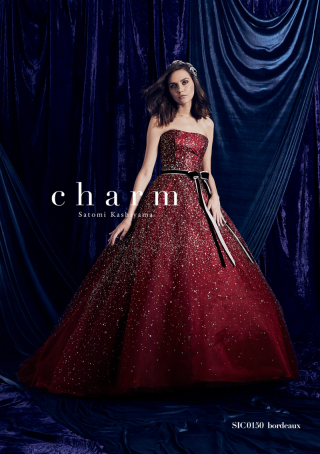 チャーム/04212285