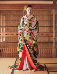 緑　牡丹　小槌　四季の花/ 0153323