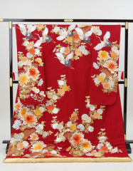 エンジ　鶴　菊/0153078