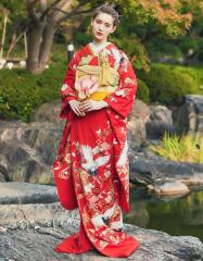 梅に鶴観世水　赤地 /0200715