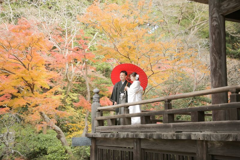 この季節、この場所だから美しい