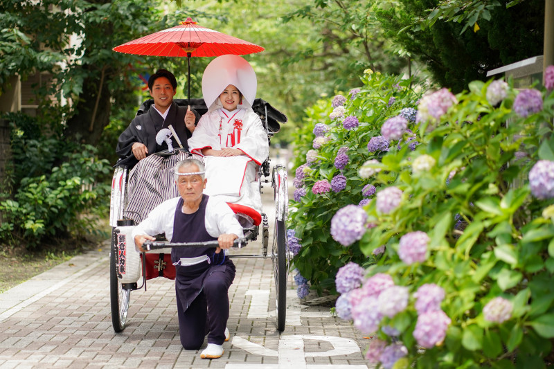 アジサイの小道を人力車に乗って