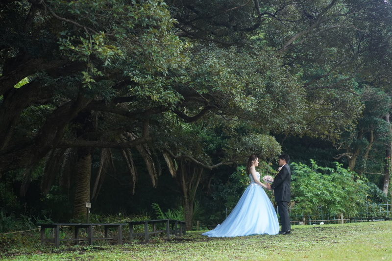 まるで森の中のよう