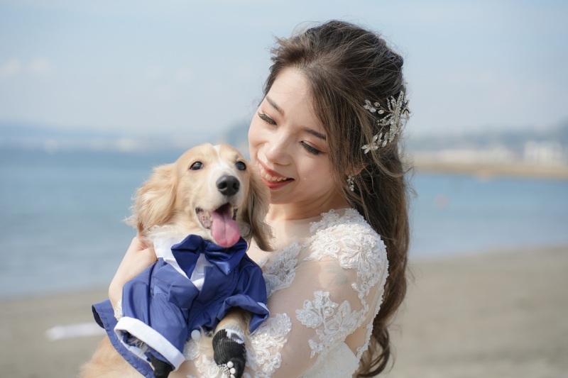 ワンちゃんも！