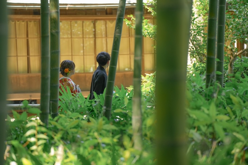 竹林越しに・・