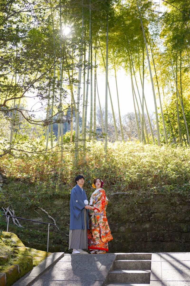 まっすぐに伸る竹林も絵になります