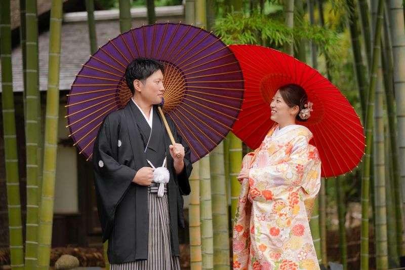 竹林の静寂に、色づく