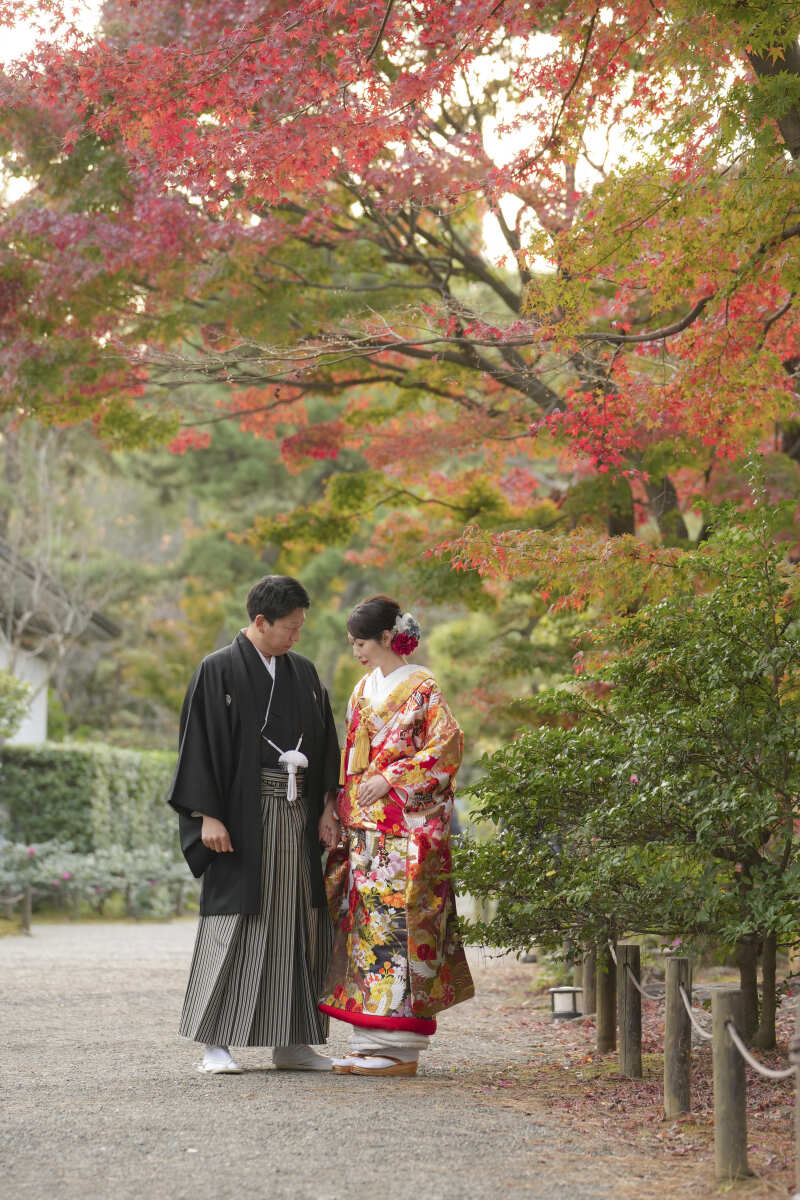 紅葉シーズン！