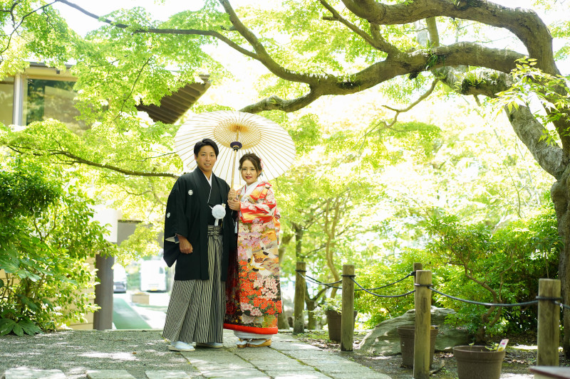 木々の緑の下で