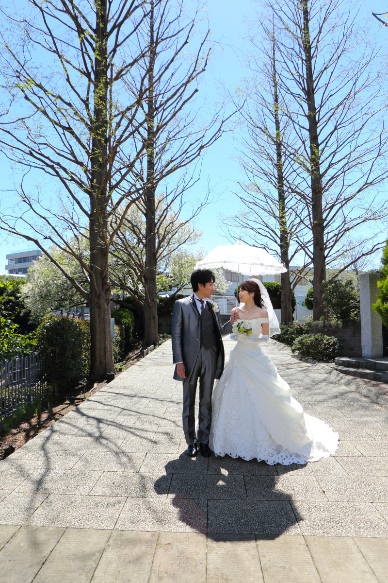 並木道をお散歩