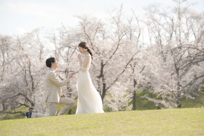 一面桜に包まれて…