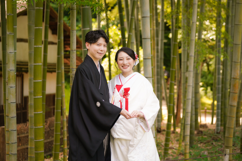 黒と白、そして緑