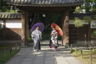 春の三渓園とスタジオ撮影