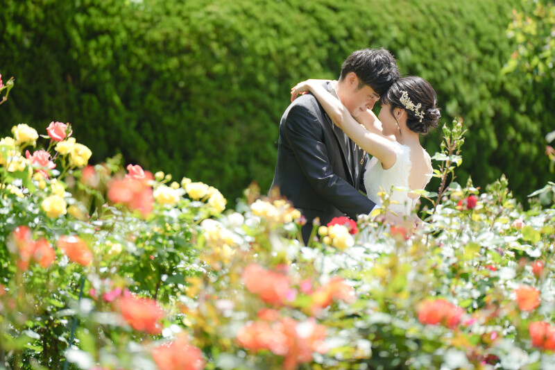 緑と花々の中の特等席