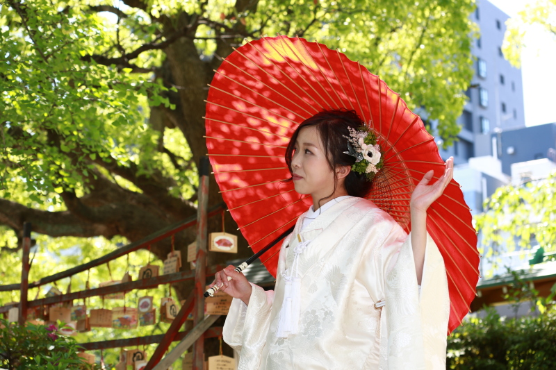 色のコントラストが美しい