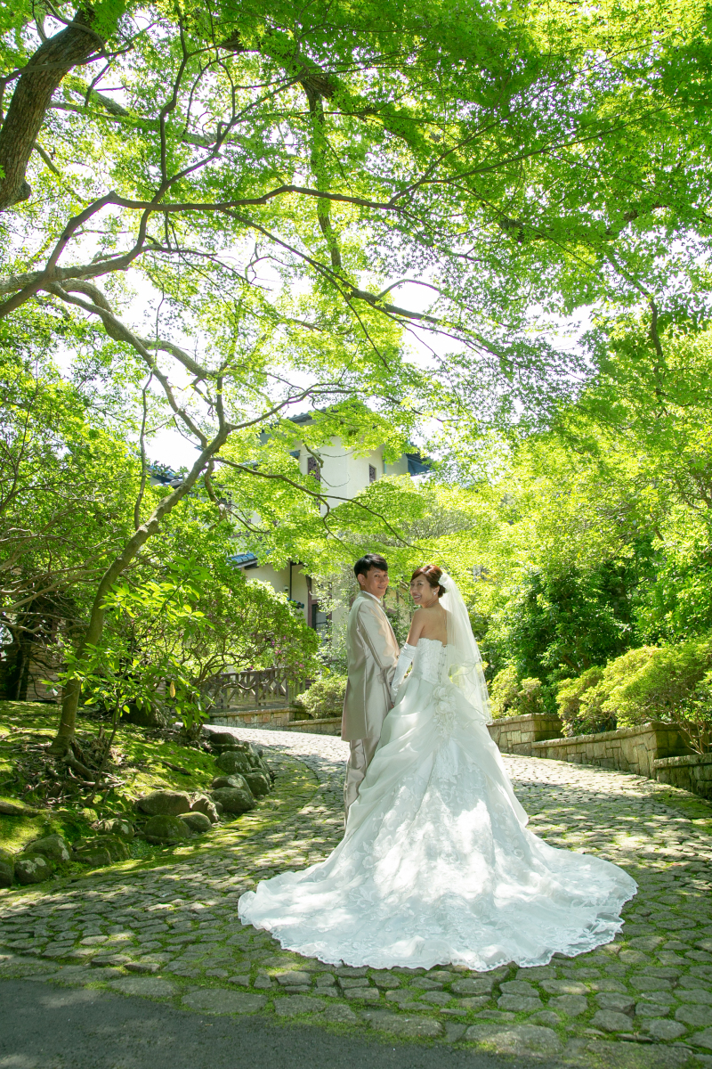 木々の緑と木漏れ日のなかで
