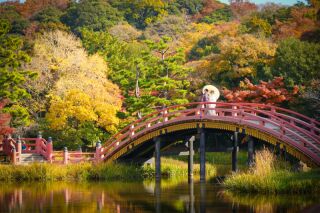Momona横浜関内店_神社・お寺