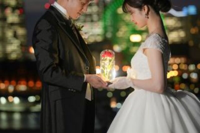 【大桟橋ナイトロケーションプラン】プラチナアルバム・全データ付き!