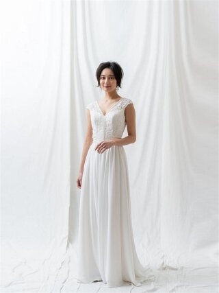 Cattleya ｶﾄﾚｱ