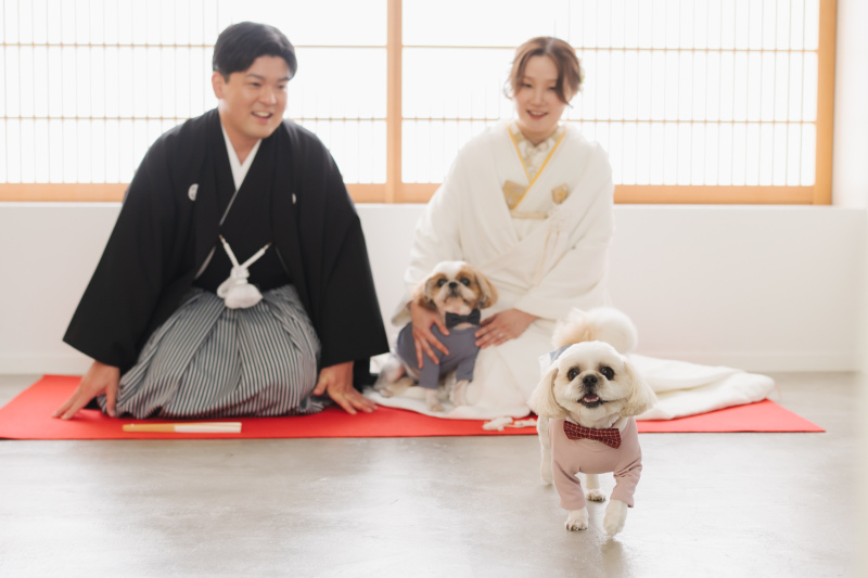 スタジオで和装撮影も行いました♪