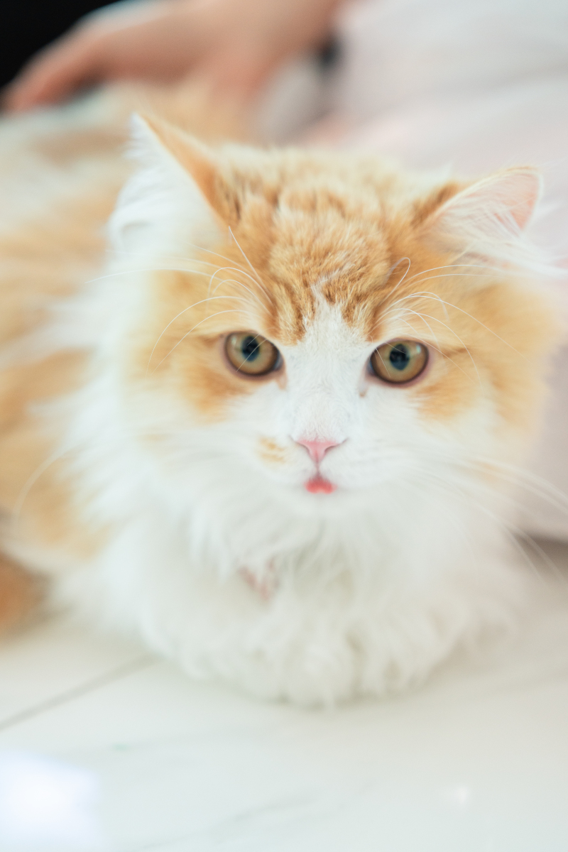 ふとした表情もしっかりキャッチ!!!
