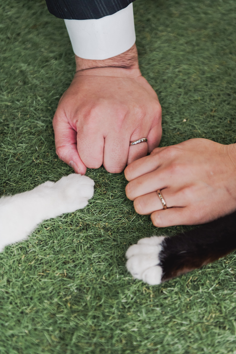 大切なペットと一緒にウェディングフォト♡