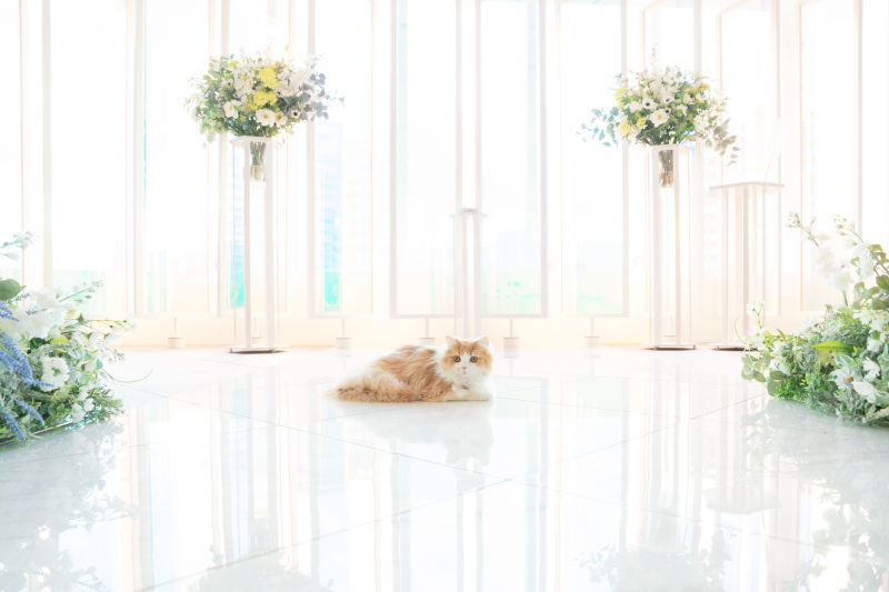 ペットOKの会場、なかなかないですよね??^^